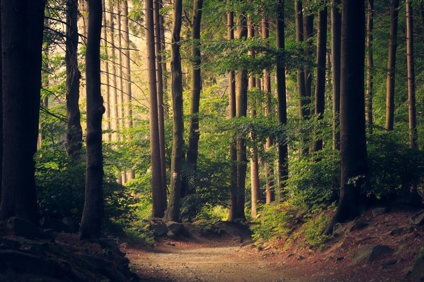 Dehradun