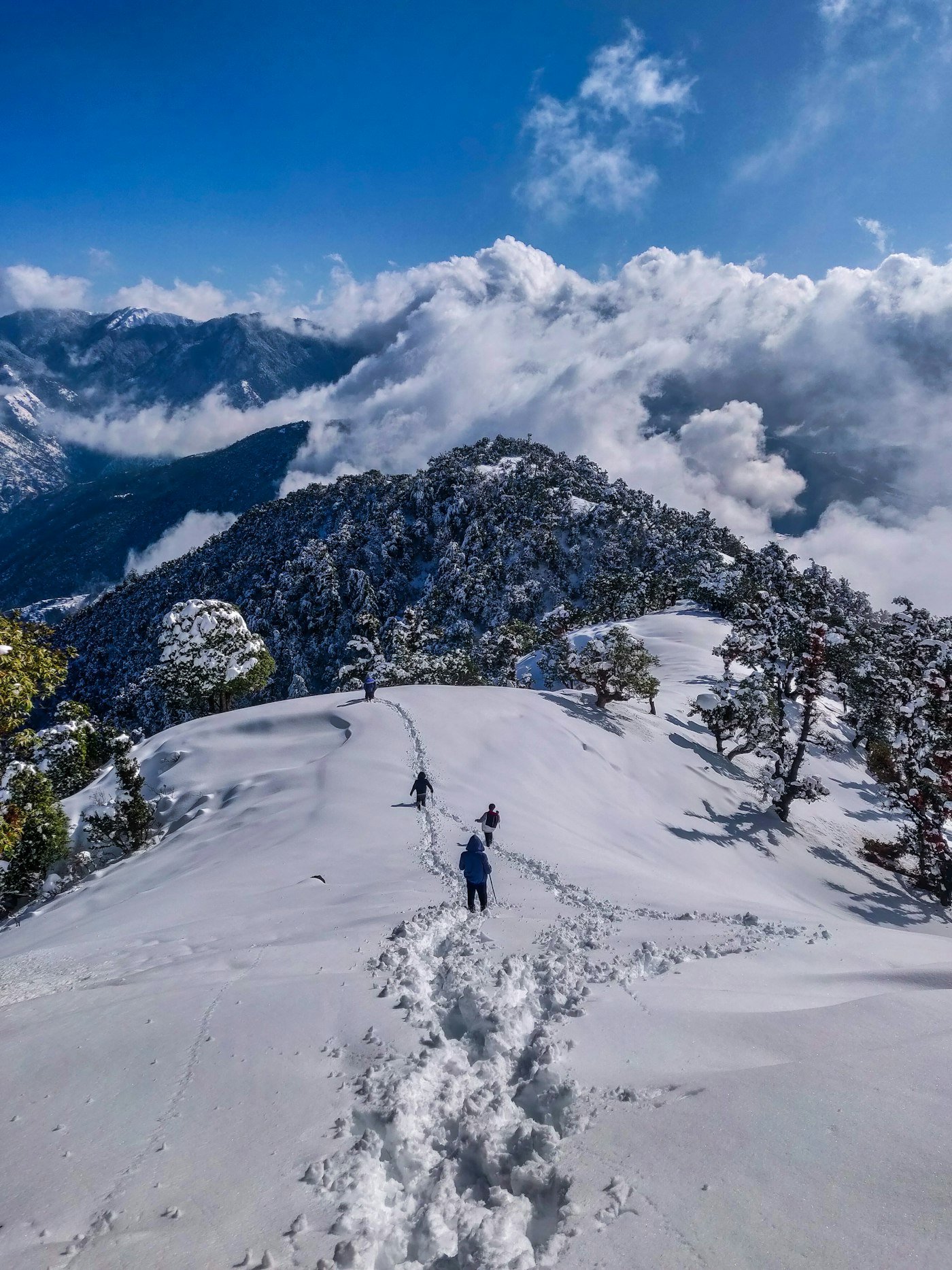 Manali Valley Drive